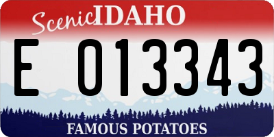 ID license plate E013343