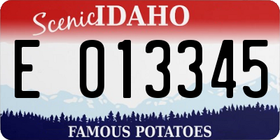 ID license plate E013345