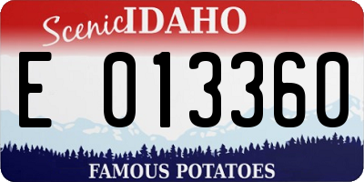 ID license plate E013360