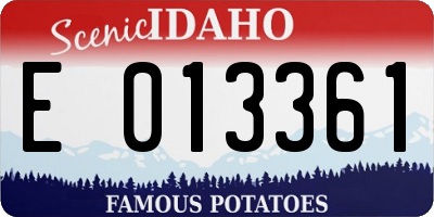 ID license plate E013361