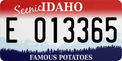 ID license plate E013365