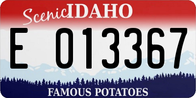 ID license plate E013367