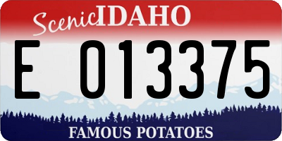 ID license plate E013375