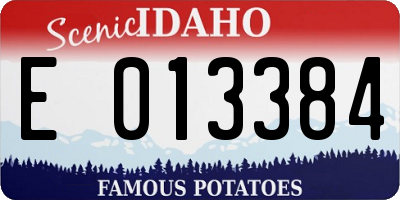 ID license plate E013384