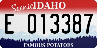 ID license plate E013387