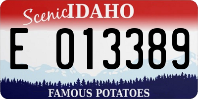 ID license plate E013389