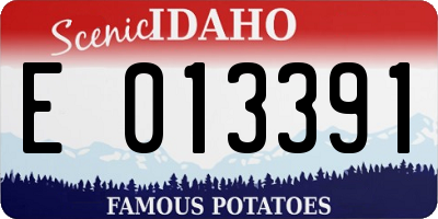 ID license plate E013391