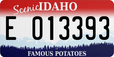 ID license plate E013393