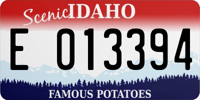 ID license plate E013394