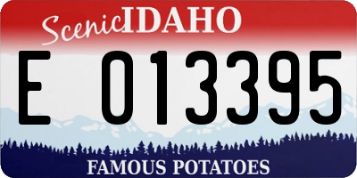 ID license plate E013395