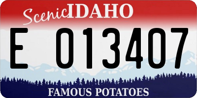 ID license plate E013407