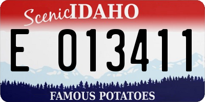 ID license plate E013411