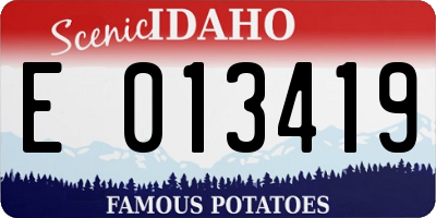 ID license plate E013419