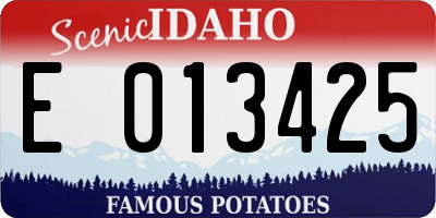 ID license plate E013425