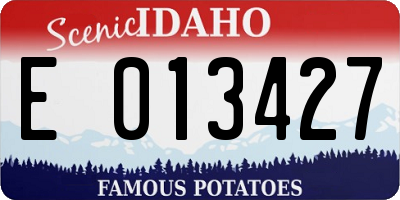 ID license plate E013427
