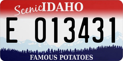 ID license plate E013431