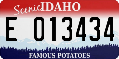 ID license plate E013434