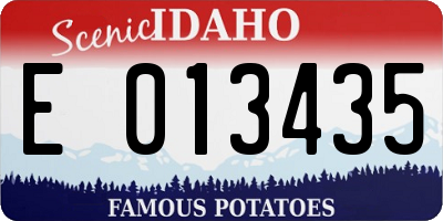 ID license plate E013435