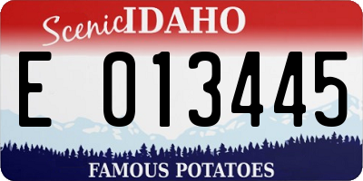 ID license plate E013445