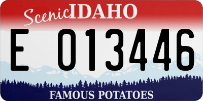 ID license plate E013446