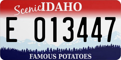 ID license plate E013447