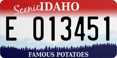 ID license plate E013451