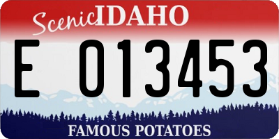 ID license plate E013453
