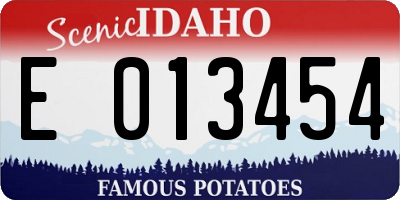 ID license plate E013454