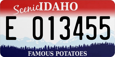 ID license plate E013455