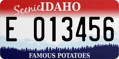 ID license plate E013456