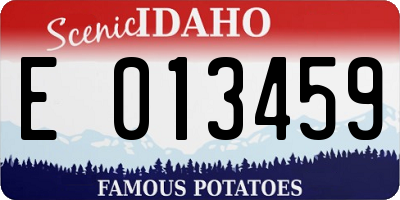 ID license plate E013459