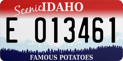 ID license plate E013461