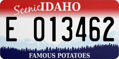 ID license plate E013462