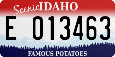 ID license plate E013463