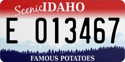 ID license plate E013467