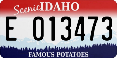 ID license plate E013473