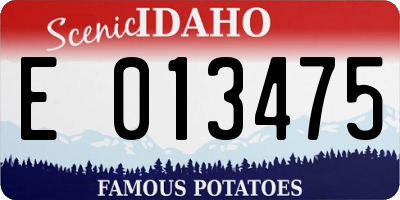 ID license plate E013475