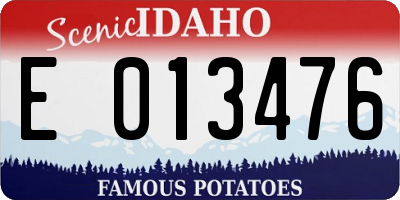 ID license plate E013476