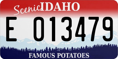 ID license plate E013479