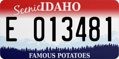 ID license plate E013481