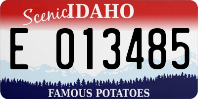 ID license plate E013485