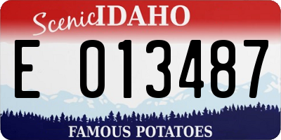 ID license plate E013487