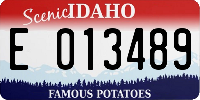 ID license plate E013489