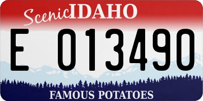 ID license plate E013490