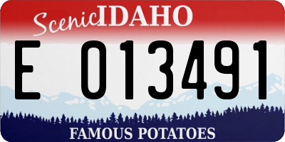 ID license plate E013491