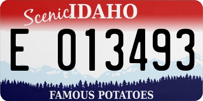 ID license plate E013493
