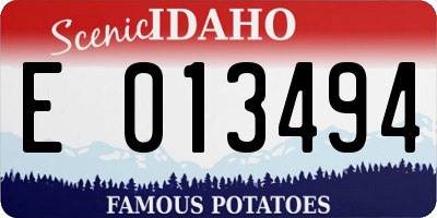 ID license plate E013494