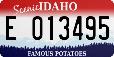 ID license plate E013495