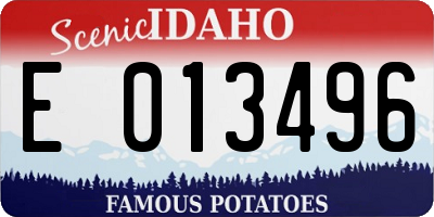 ID license plate E013496