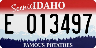 ID license plate E013497